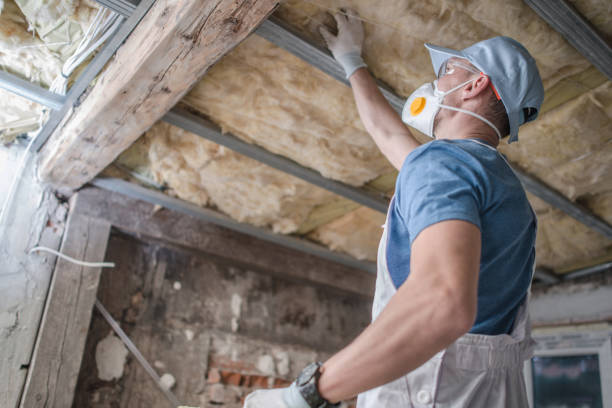 Best Residential Insulation in Cleveland, OH